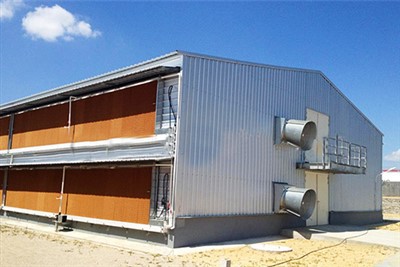 Kako ugraditi rasvjetu u čelični peradarnik?